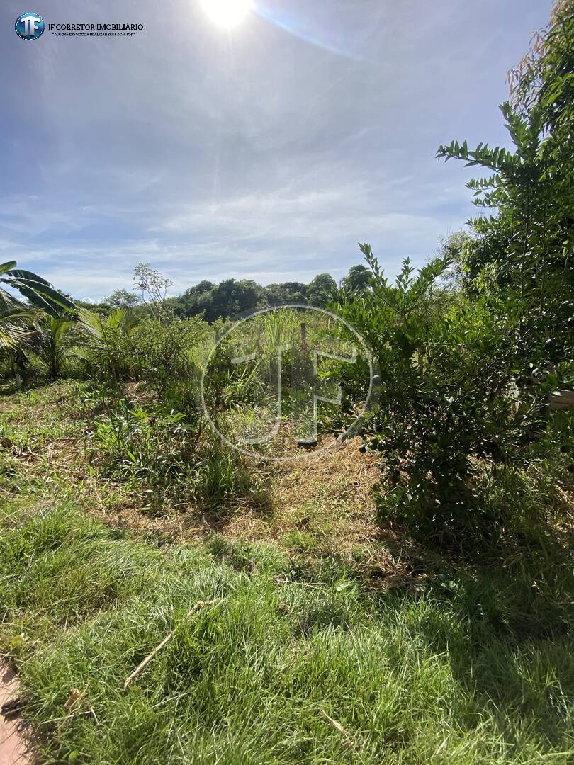 Fazenda à venda com 3 quartos, 3360m² - Foto 12