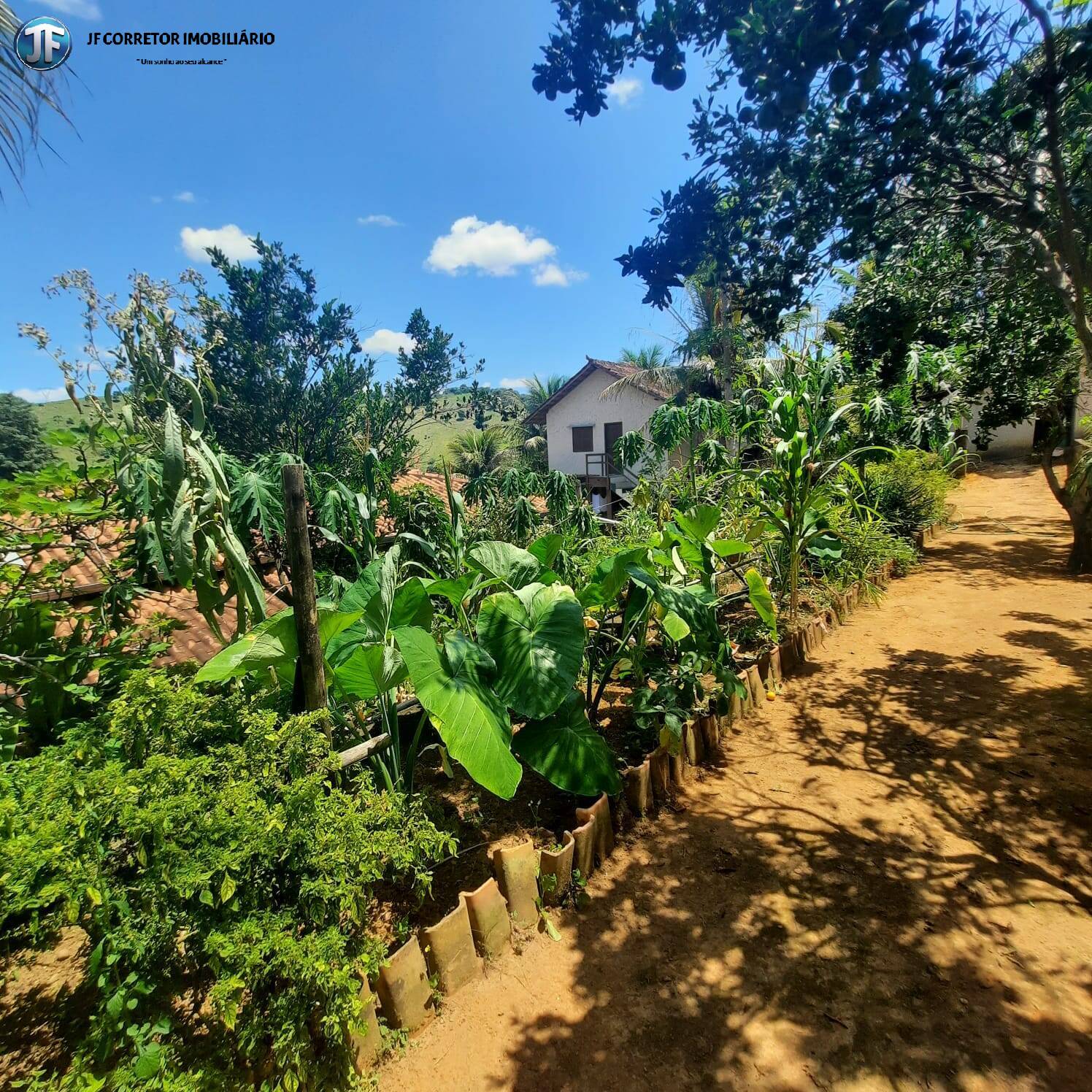 Fazenda à venda com 5 quartos, 6600m² - Foto 12