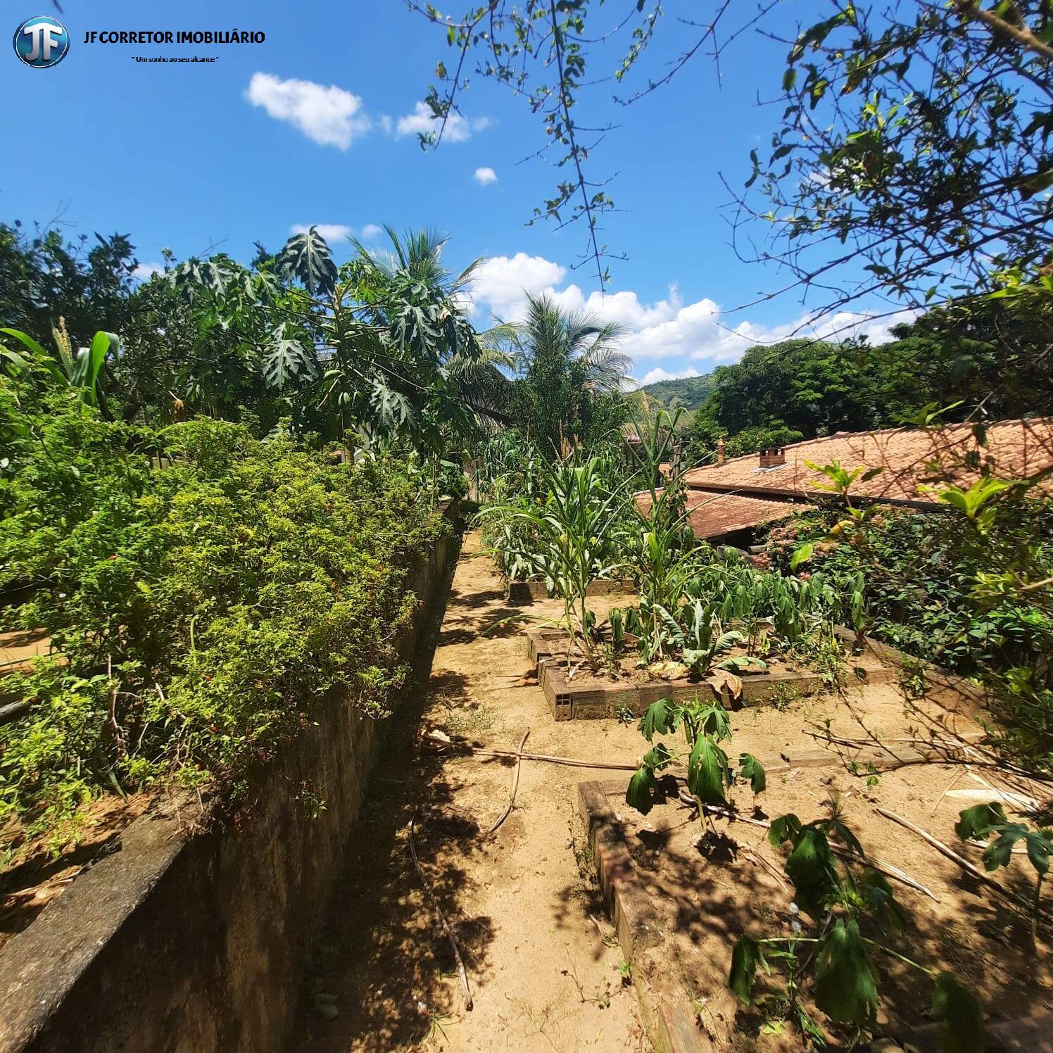 Fazenda à venda com 5 quartos, 6600m² - Foto 14