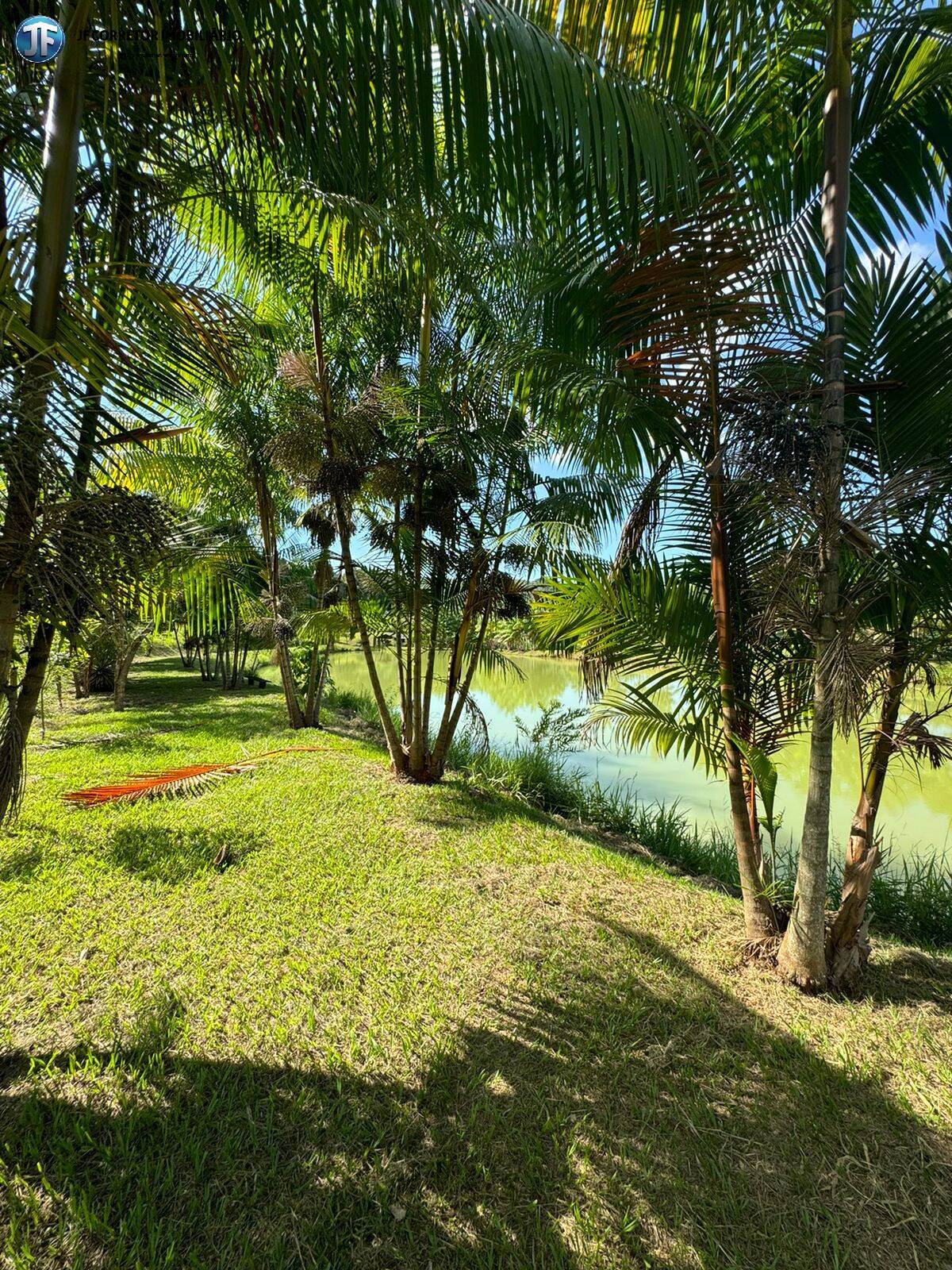 Fazenda à venda com 6 quartos, 55000m² - Foto 1