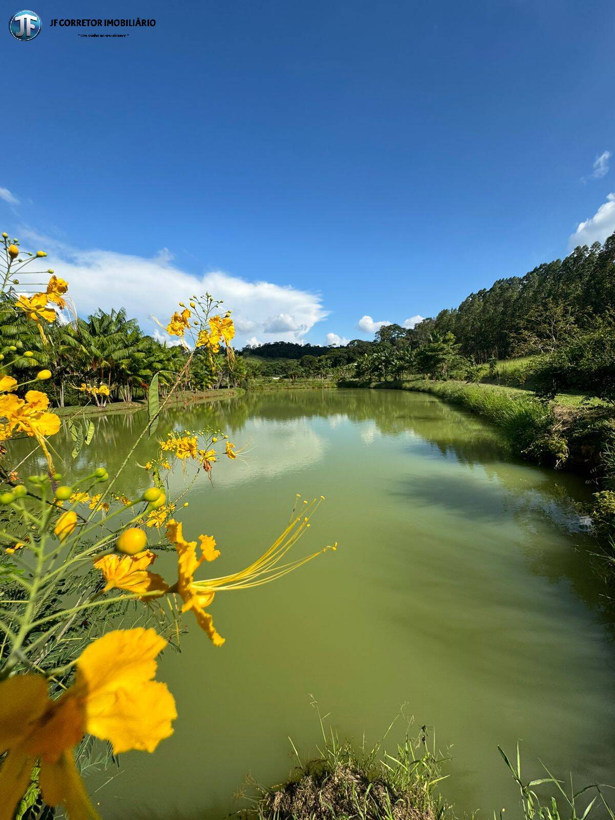 Fazenda à venda com 6 quartos, 55000m² - Foto 2