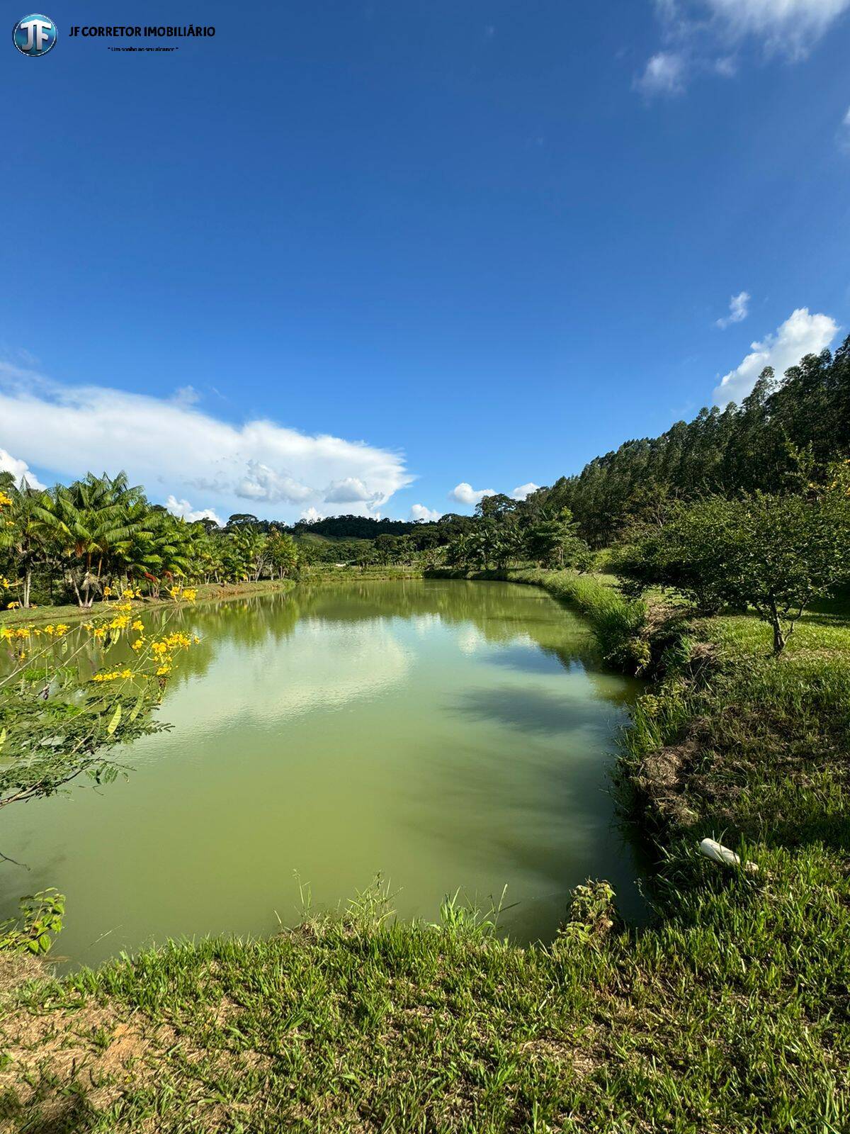 Fazenda à venda com 6 quartos, 55000m² - Foto 3