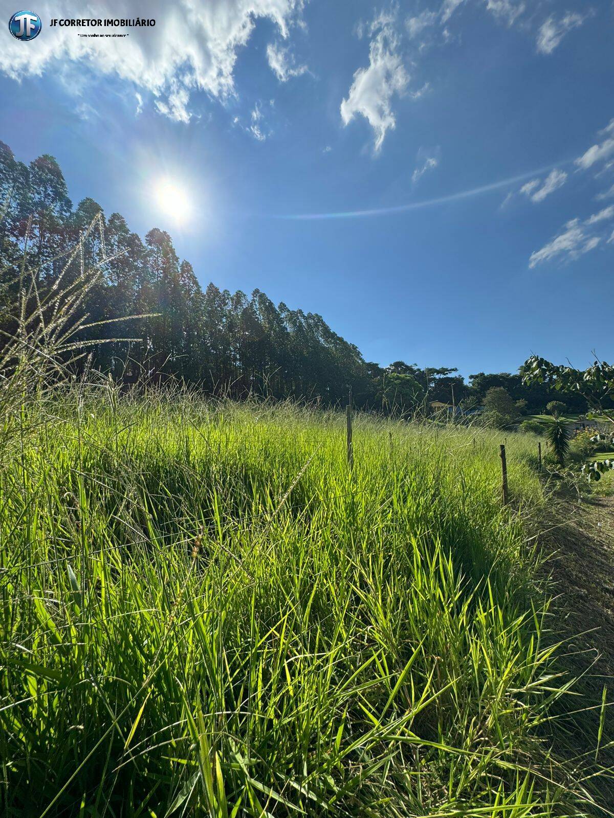 Fazenda à venda com 6 quartos, 55000m² - Foto 5