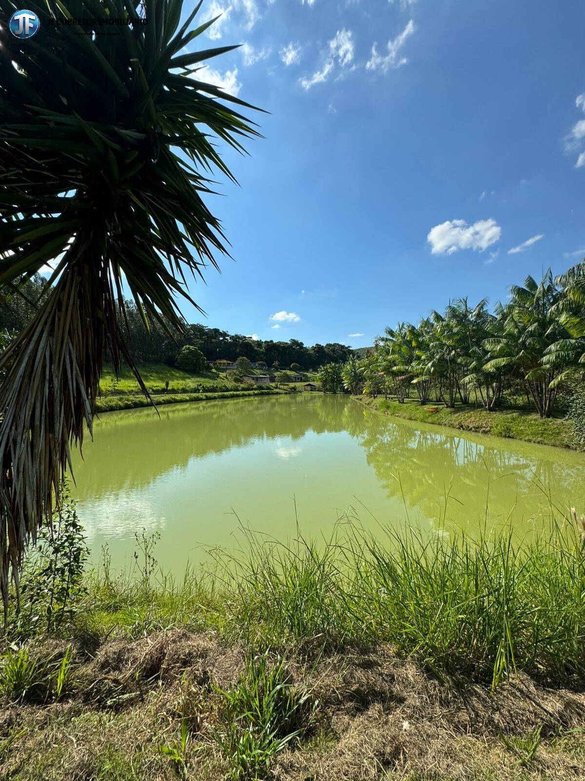 Fazenda à venda com 6 quartos, 55000m² - Foto 6