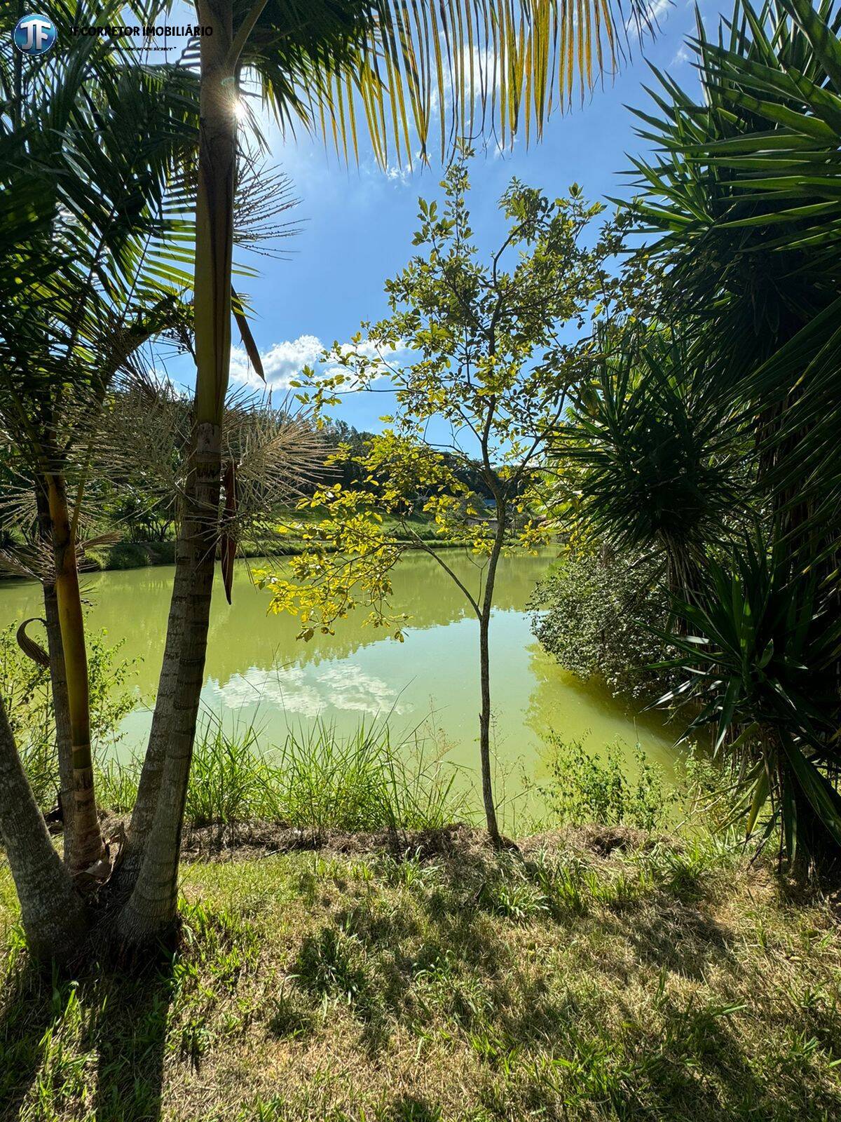 Fazenda à venda com 6 quartos, 55000m² - Foto 7