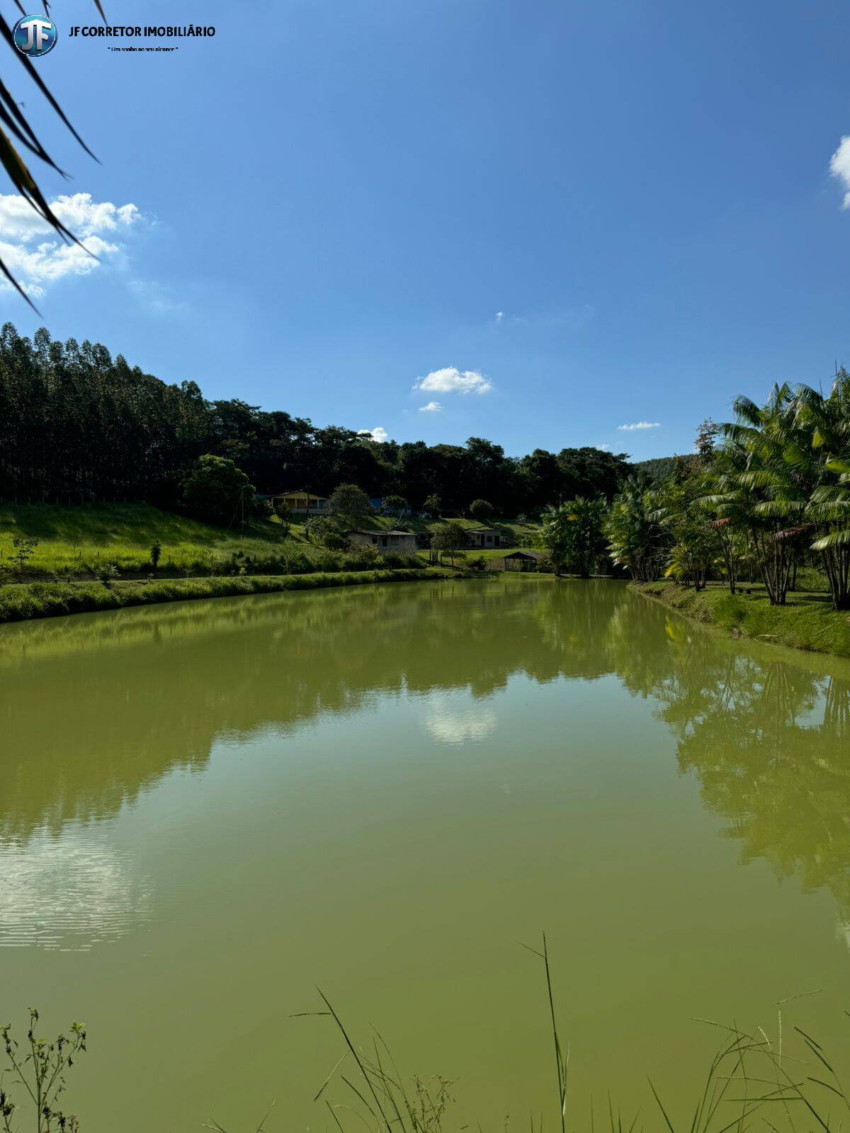 Fazenda à venda com 6 quartos, 55000m² - Foto 8