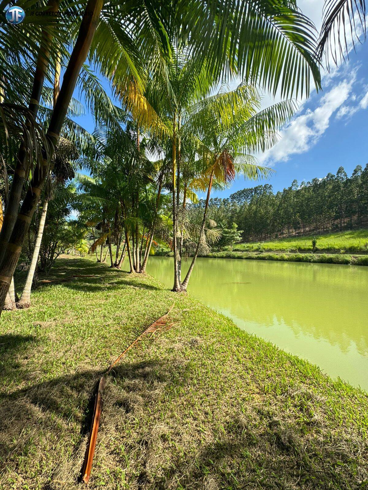 Fazenda à venda com 6 quartos, 55000m² - Foto 12