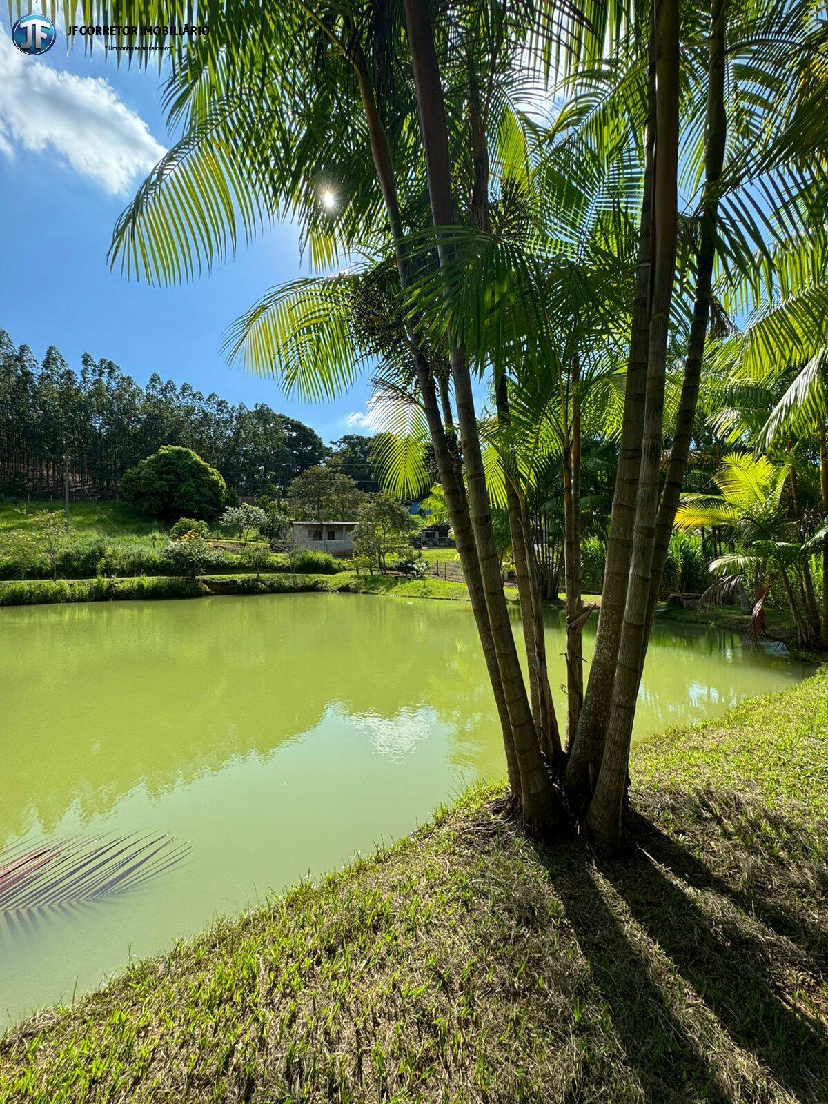 Fazenda à venda com 6 quartos, 55000m² - Foto 13