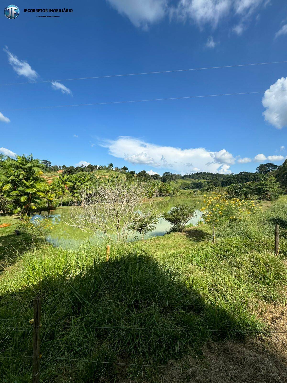 Fazenda à venda com 6 quartos, 55000m² - Foto 15