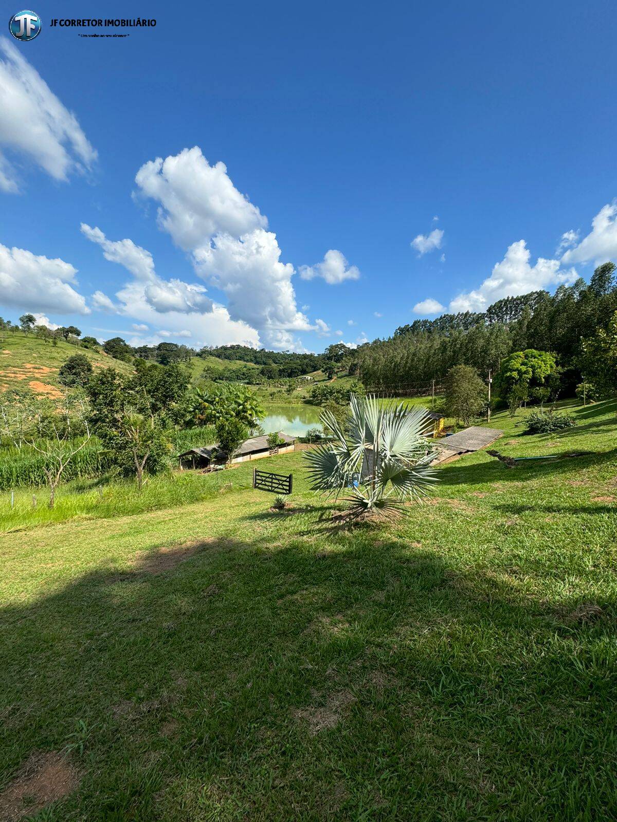 Fazenda à venda com 6 quartos, 55000m² - Foto 20