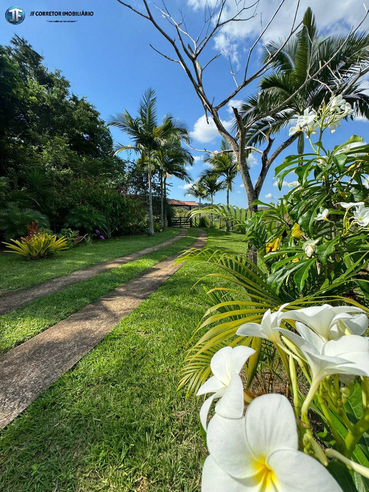 Fazenda à venda com 6 quartos, 55000m² - Foto 19