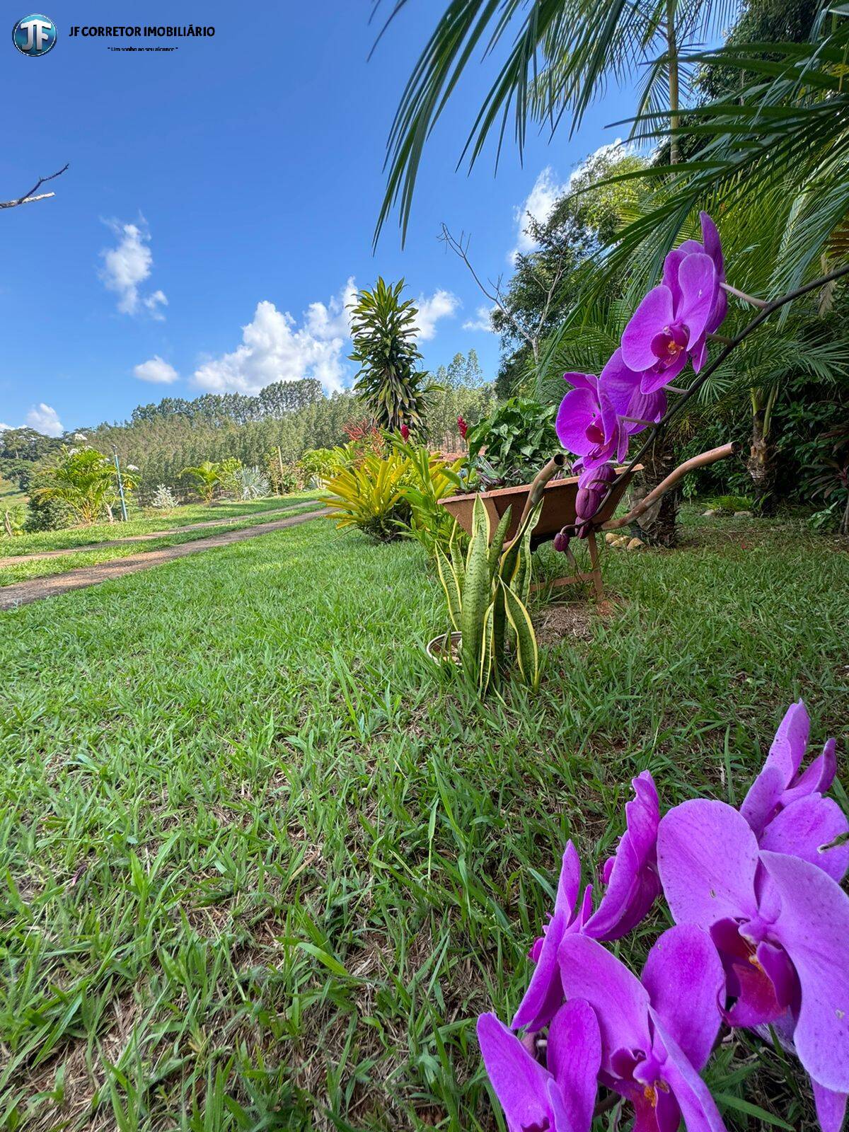 Fazenda à venda com 6 quartos, 55000m² - Foto 22