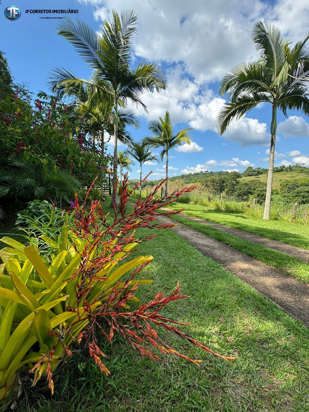 Fazenda à venda com 6 quartos, 55000m² - Foto 21