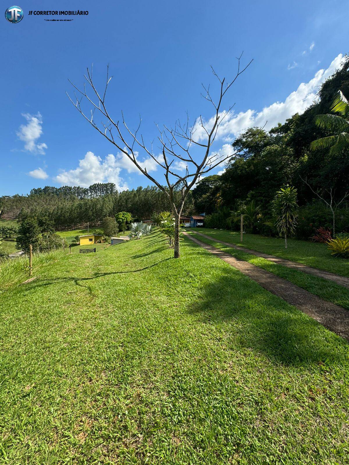 Fazenda à venda com 6 quartos, 55000m² - Foto 24