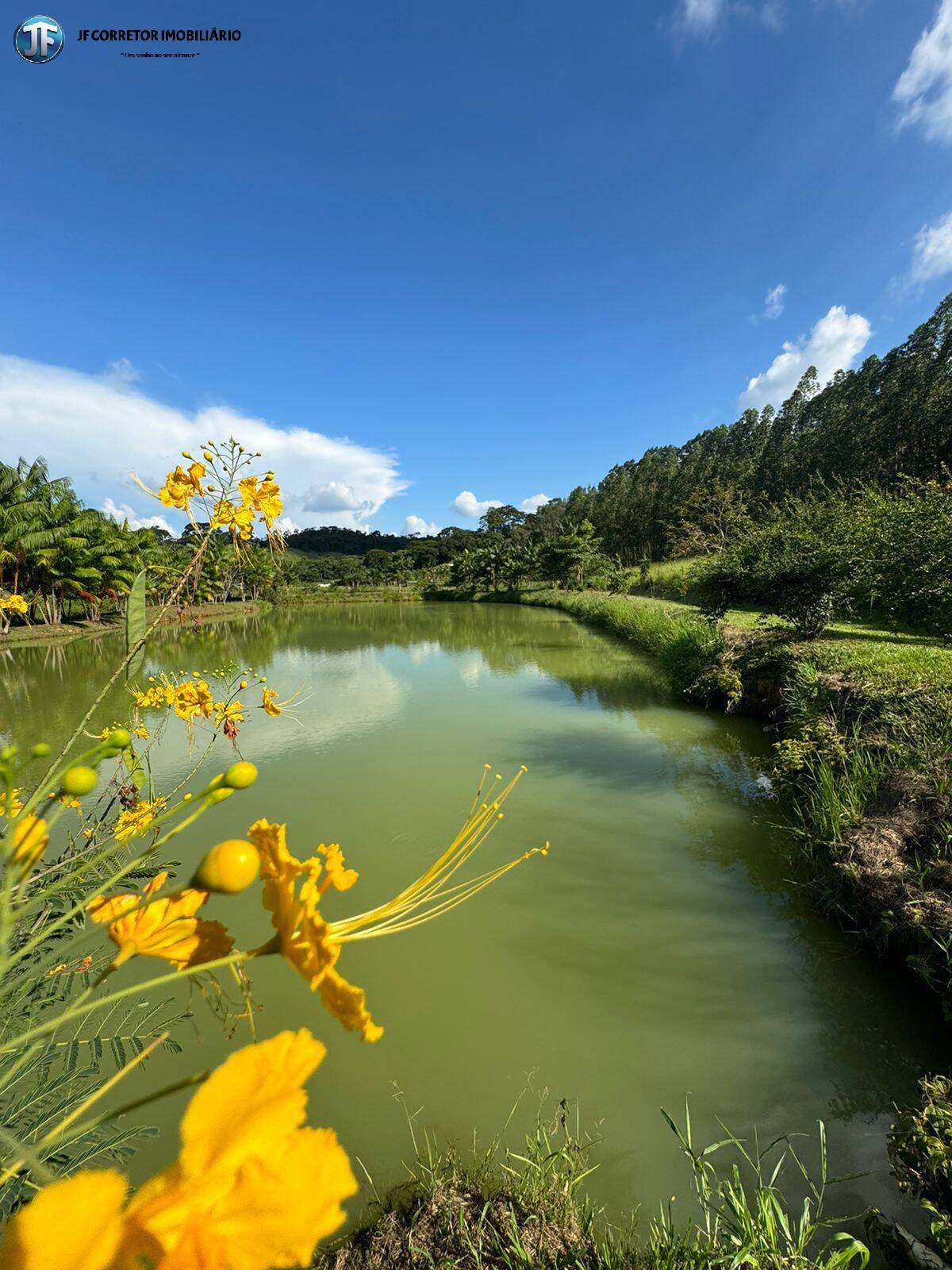 Fazenda à venda com 6 quartos, 55000m² - Foto 25