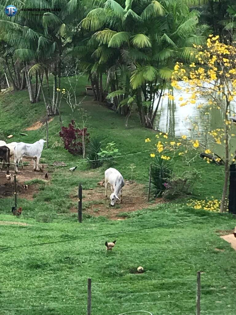 Fazenda à venda com 6 quartos, 55000m² - Foto 30