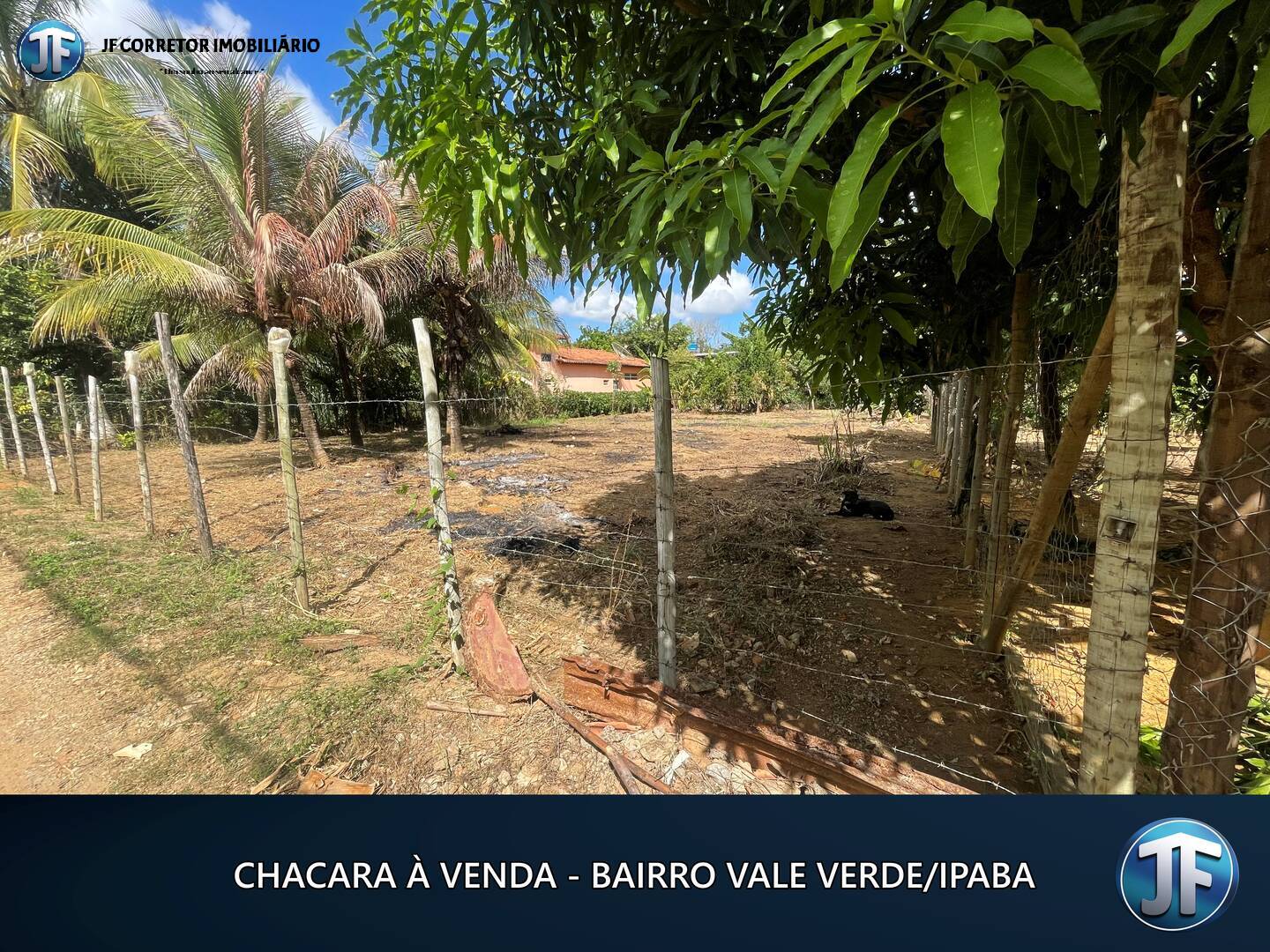 Fazenda à venda, 800m² - Foto 1