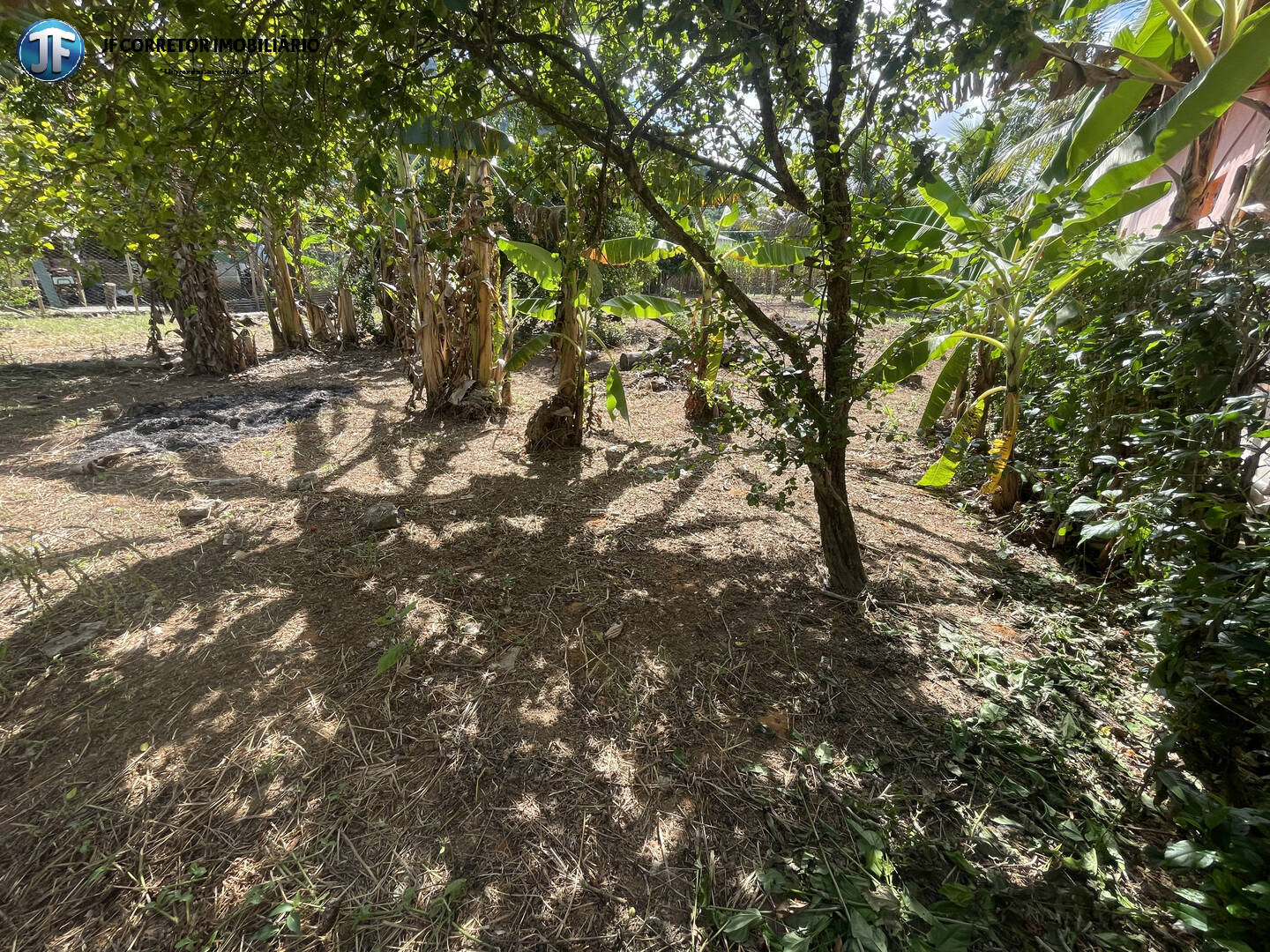 Fazenda à venda, 800m² - Foto 10