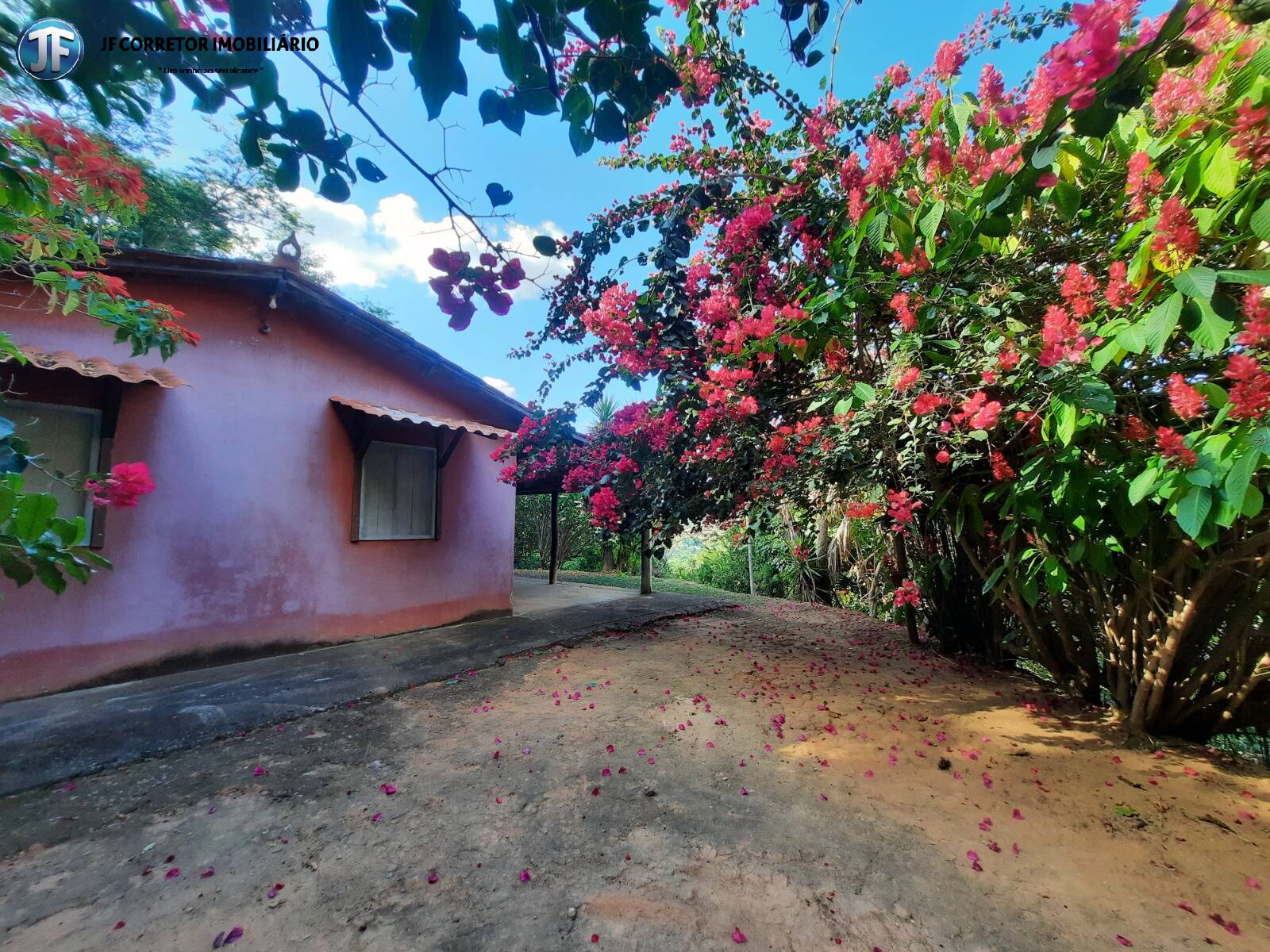 Fazenda à venda com 6 quartos, 680000m² - Foto 9