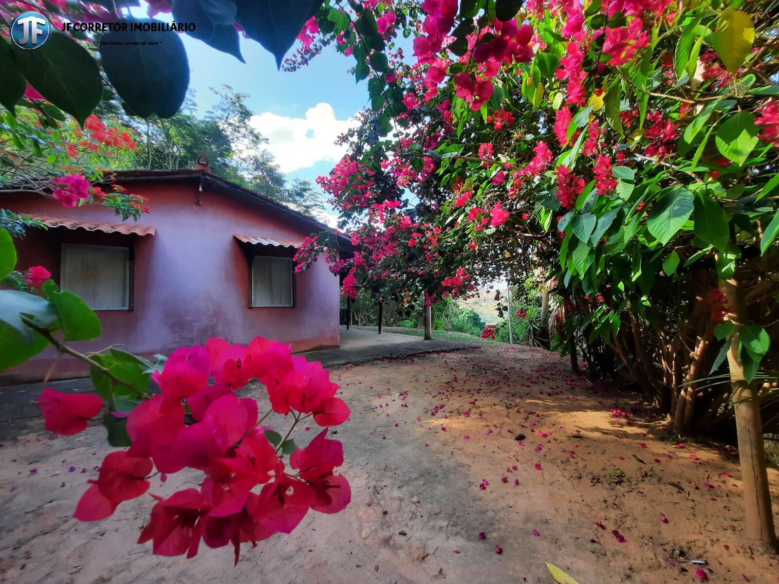 Fazenda à venda com 6 quartos, 680000m² - Foto 10