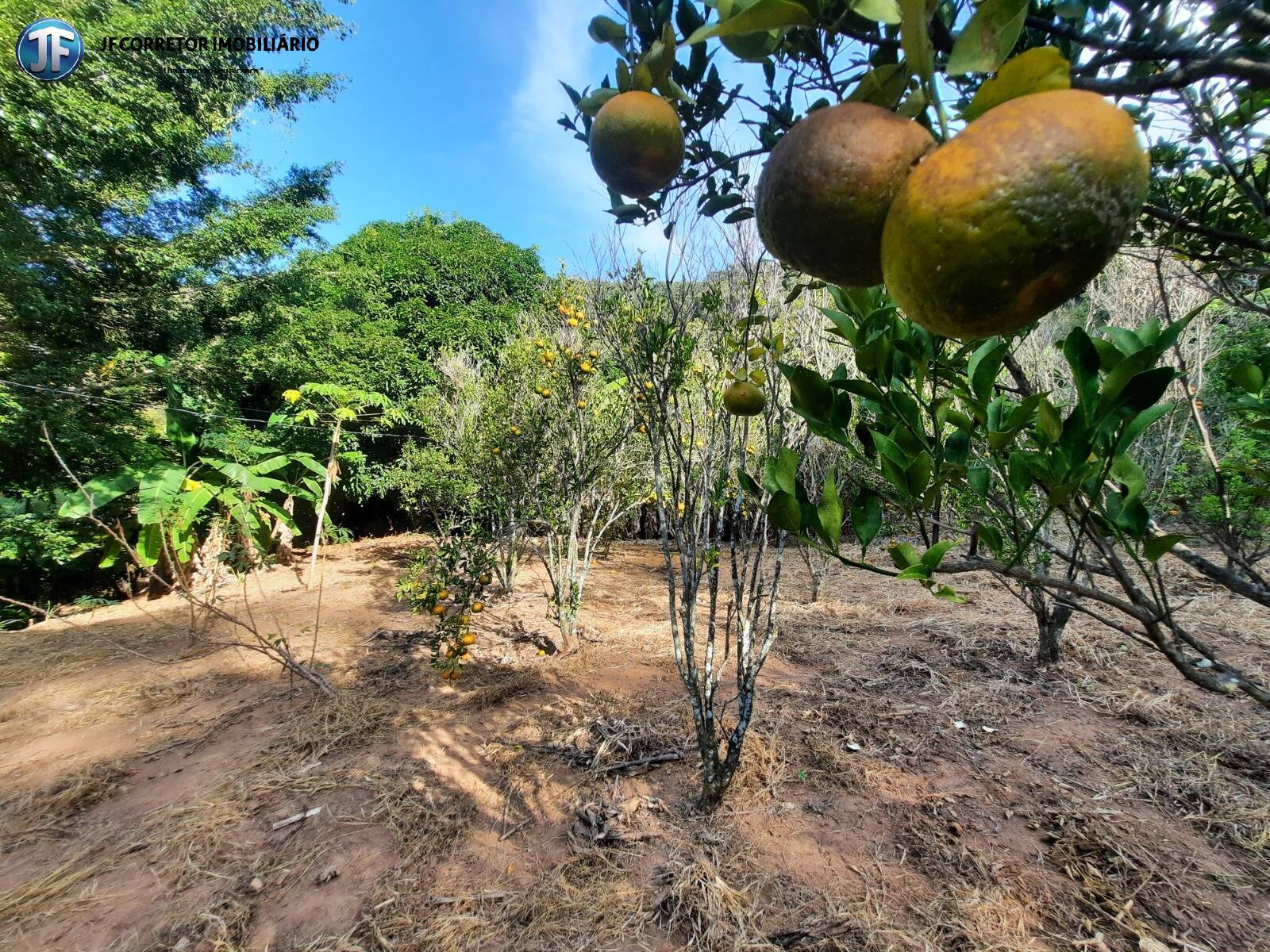 Fazenda à venda com 6 quartos, 680000m² - Foto 14