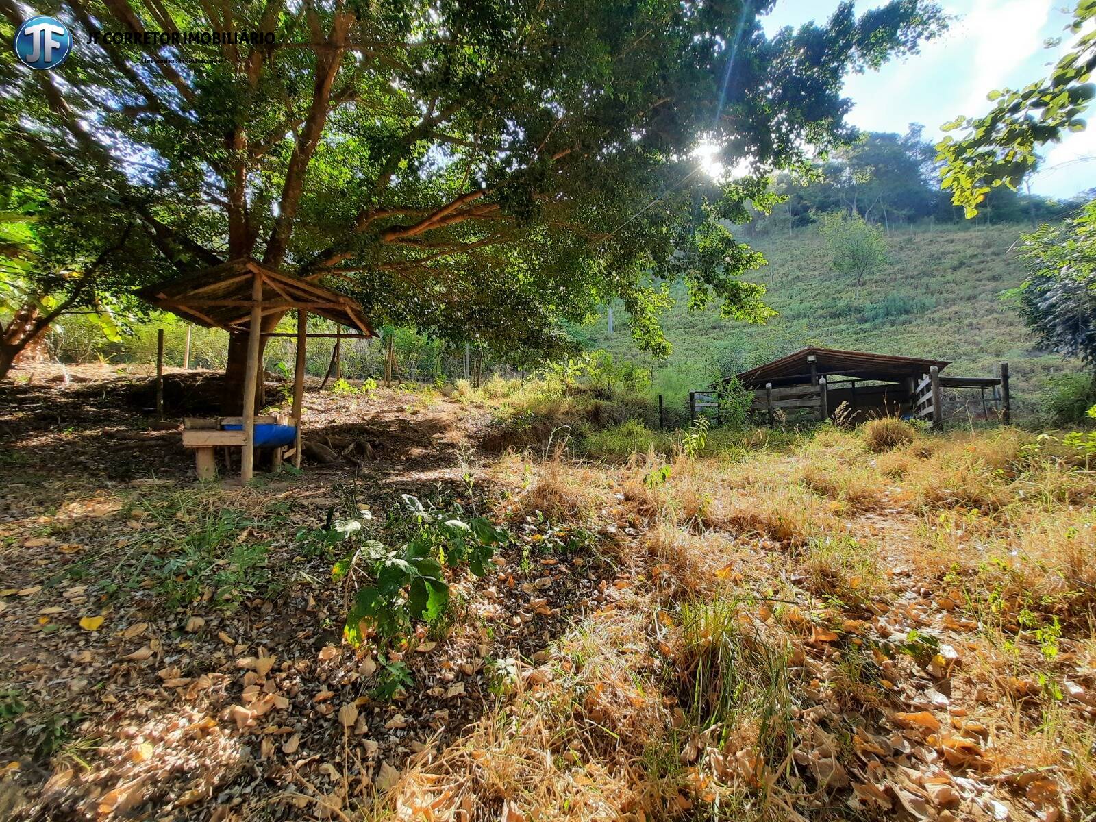 Fazenda à venda com 6 quartos, 680000m² - Foto 15