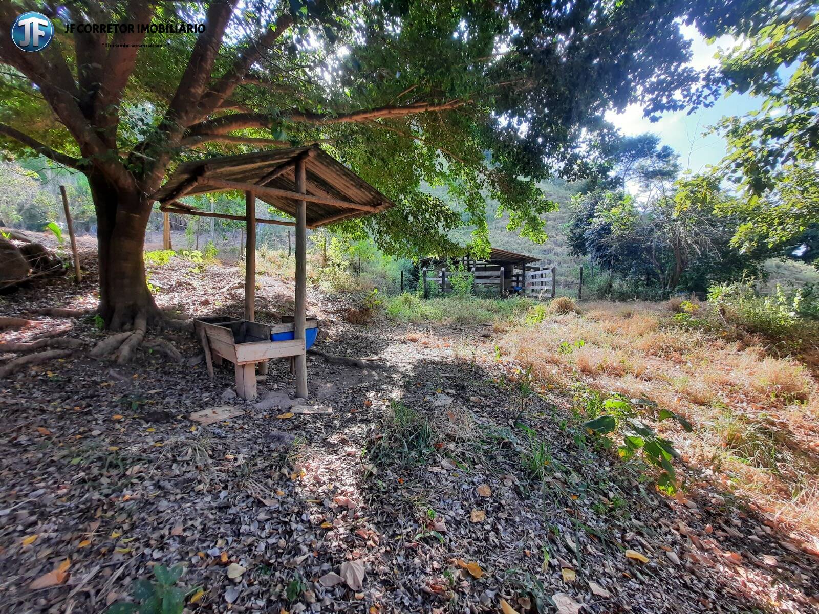 Fazenda à venda com 6 quartos, 680000m² - Foto 17