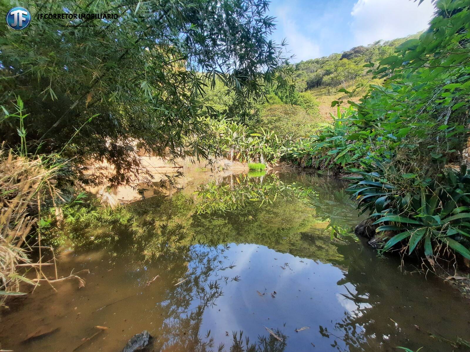 Fazenda à venda com 6 quartos, 680000m² - Foto 18