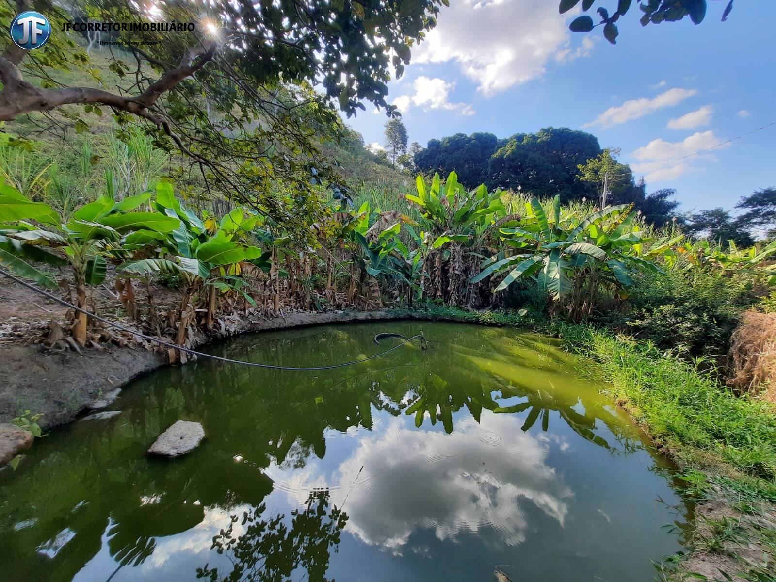 Fazenda à venda com 6 quartos, 680000m² - Foto 21