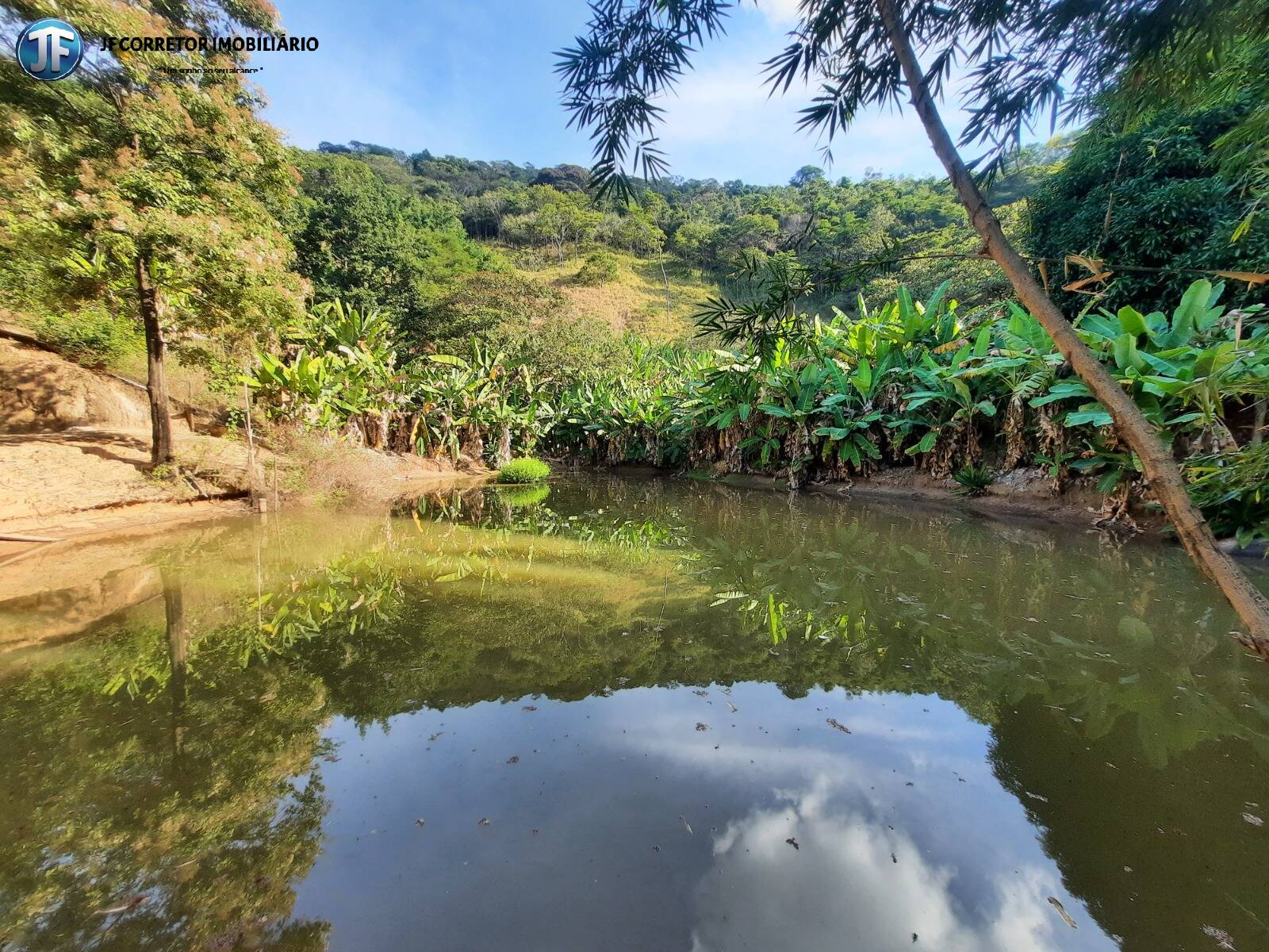 Fazenda à venda com 6 quartos, 680000m² - Foto 22