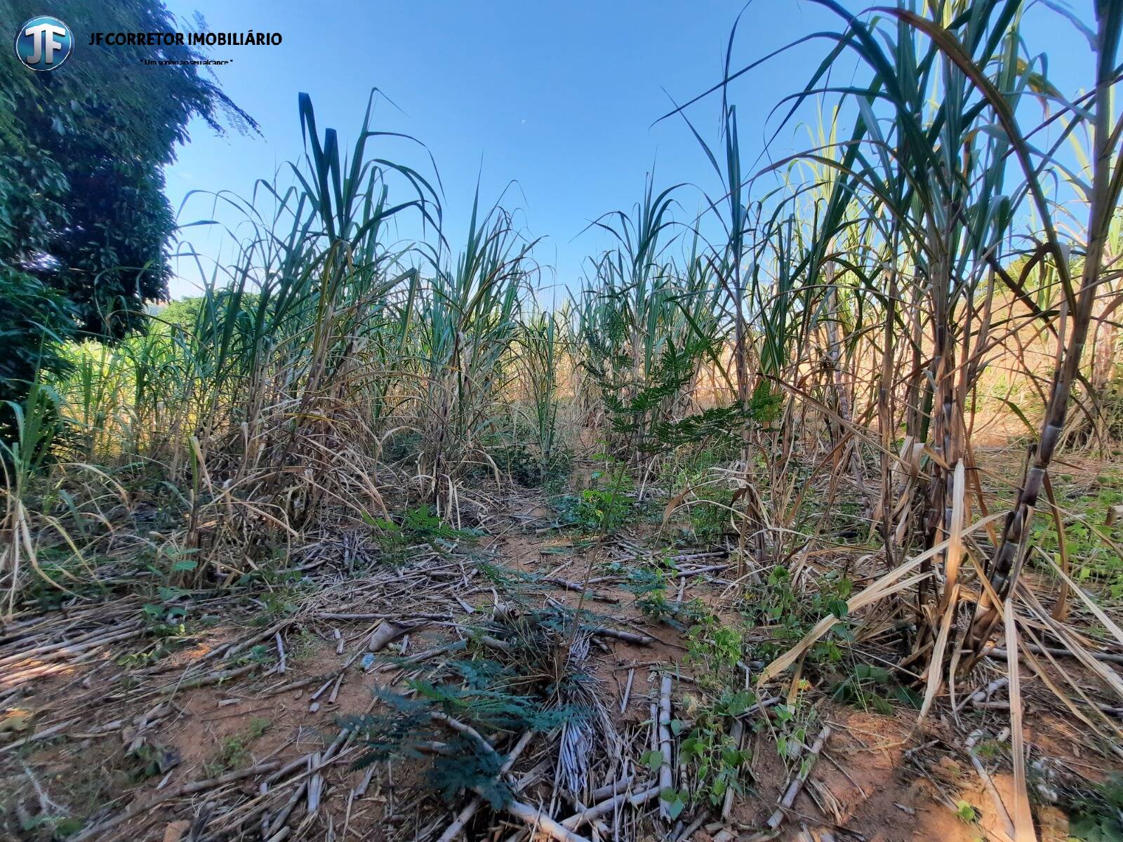 Fazenda à venda com 6 quartos, 680000m² - Foto 24