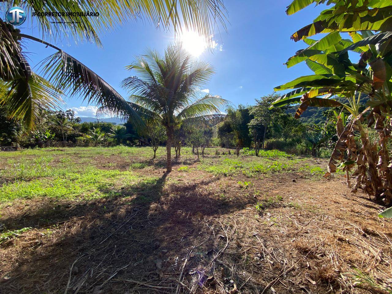 Fazenda à venda com 7 quartos, 6590m² - Foto 41