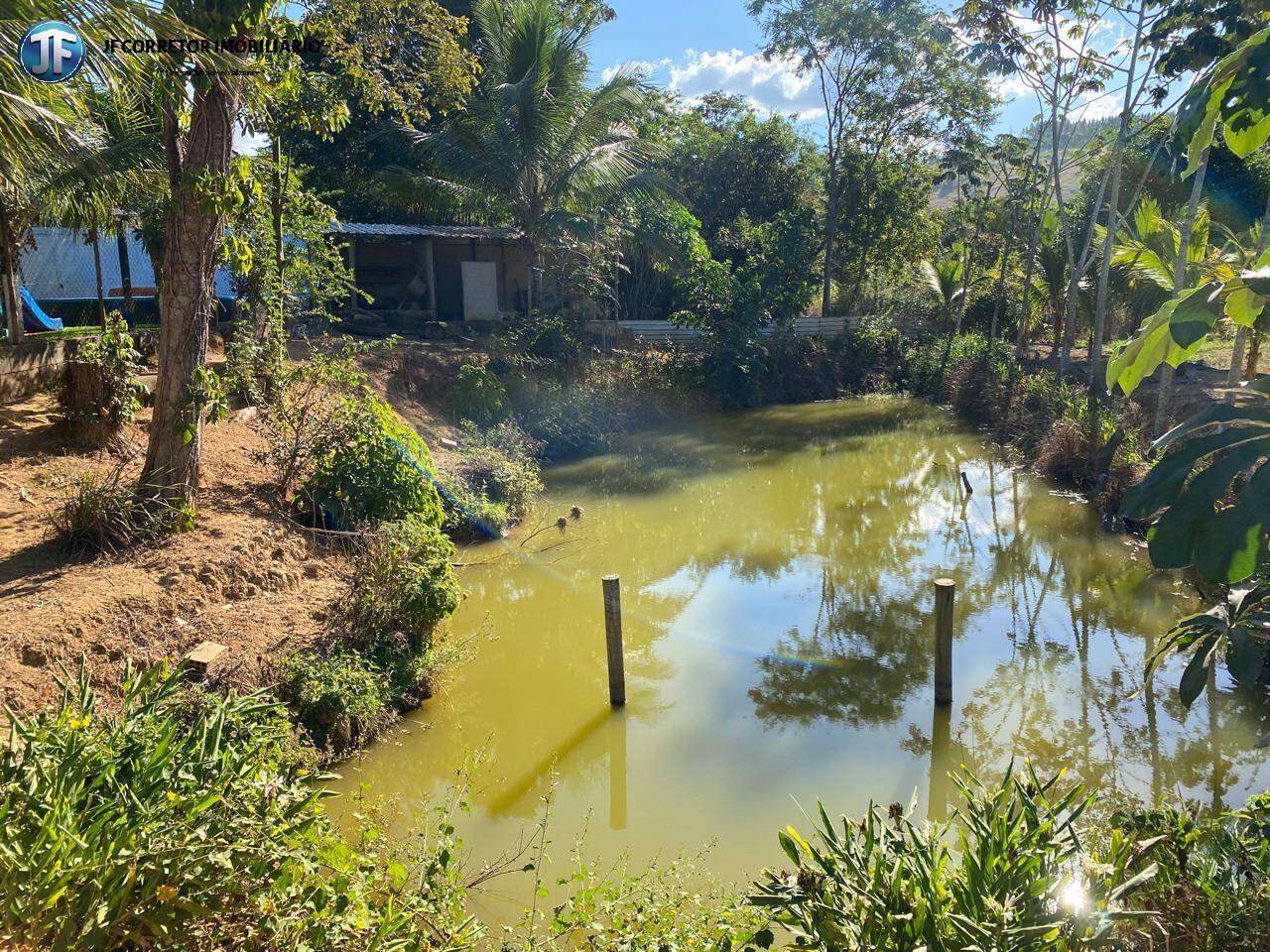 Fazenda à venda com 7 quartos, 6590m² - Foto 44