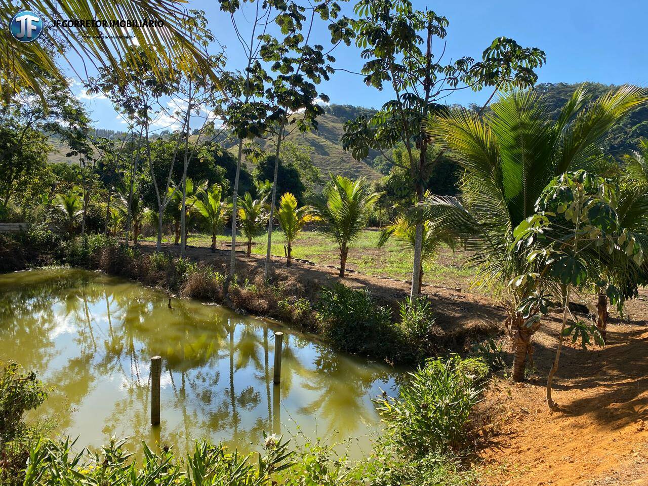 Fazenda à venda com 7 quartos, 6590m² - Foto 46