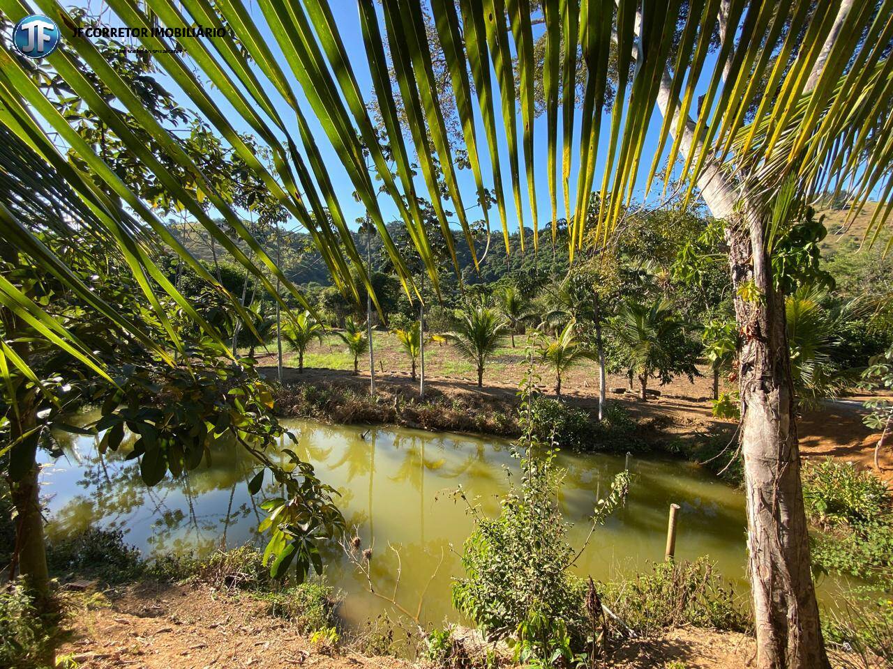 Fazenda à venda com 7 quartos, 6590m² - Foto 45