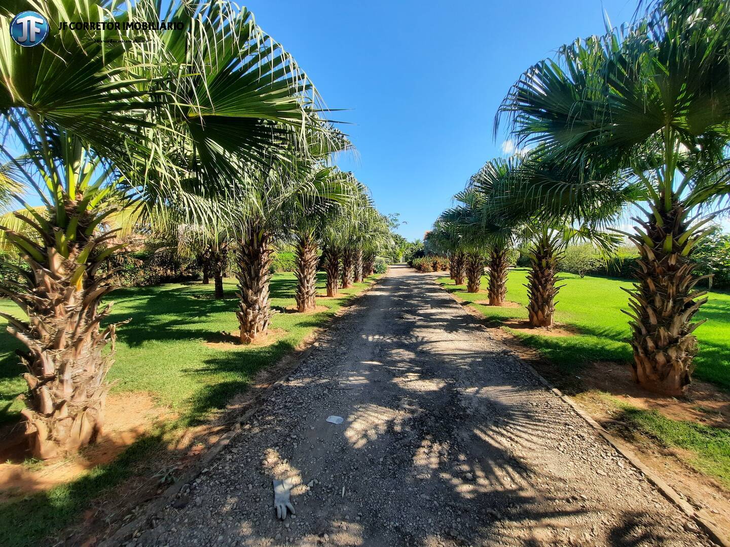 Fazenda à venda com 2 quartos, 4000m² - Foto 1