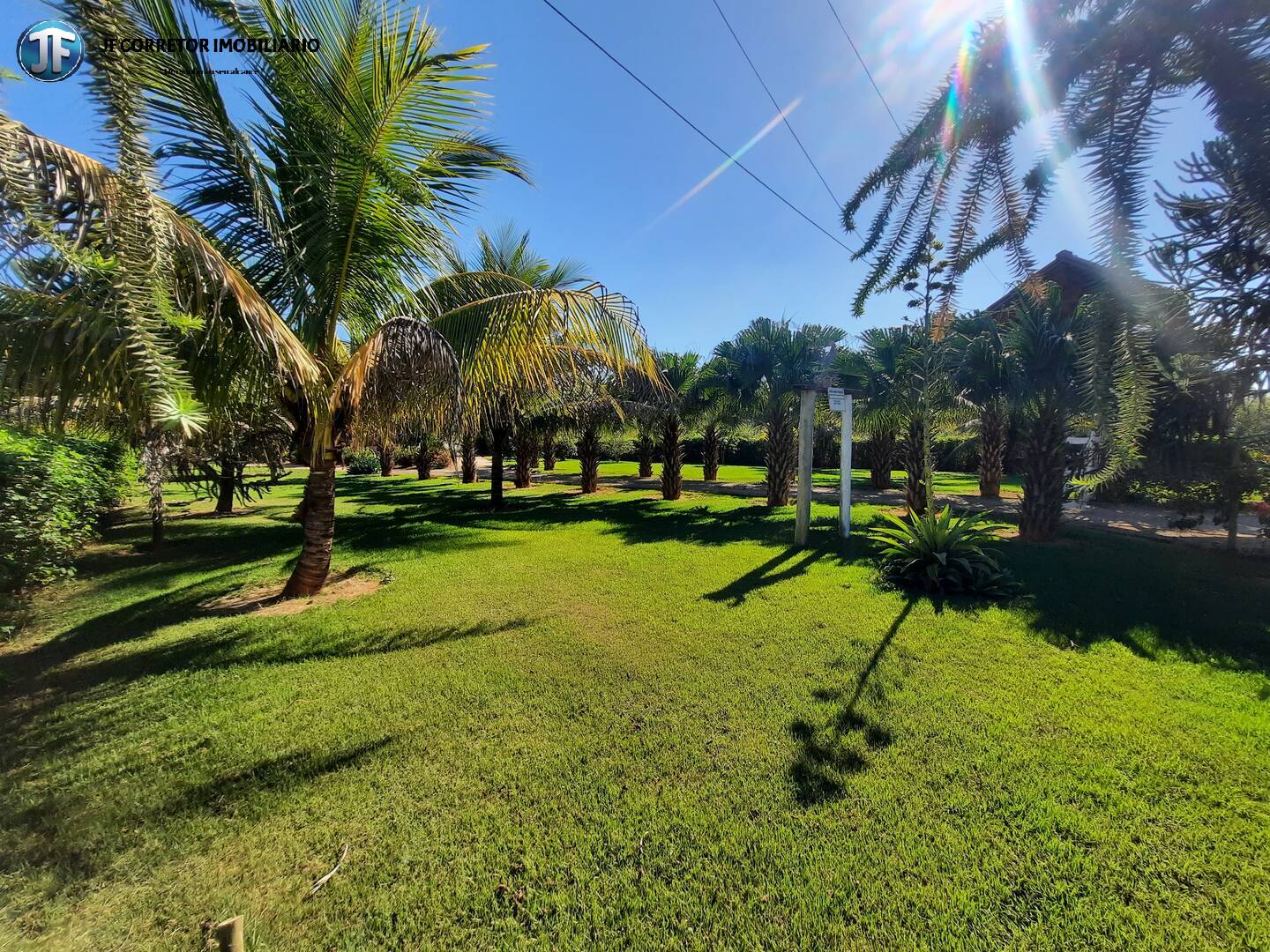 Fazenda à venda com 2 quartos, 4000m² - Foto 3