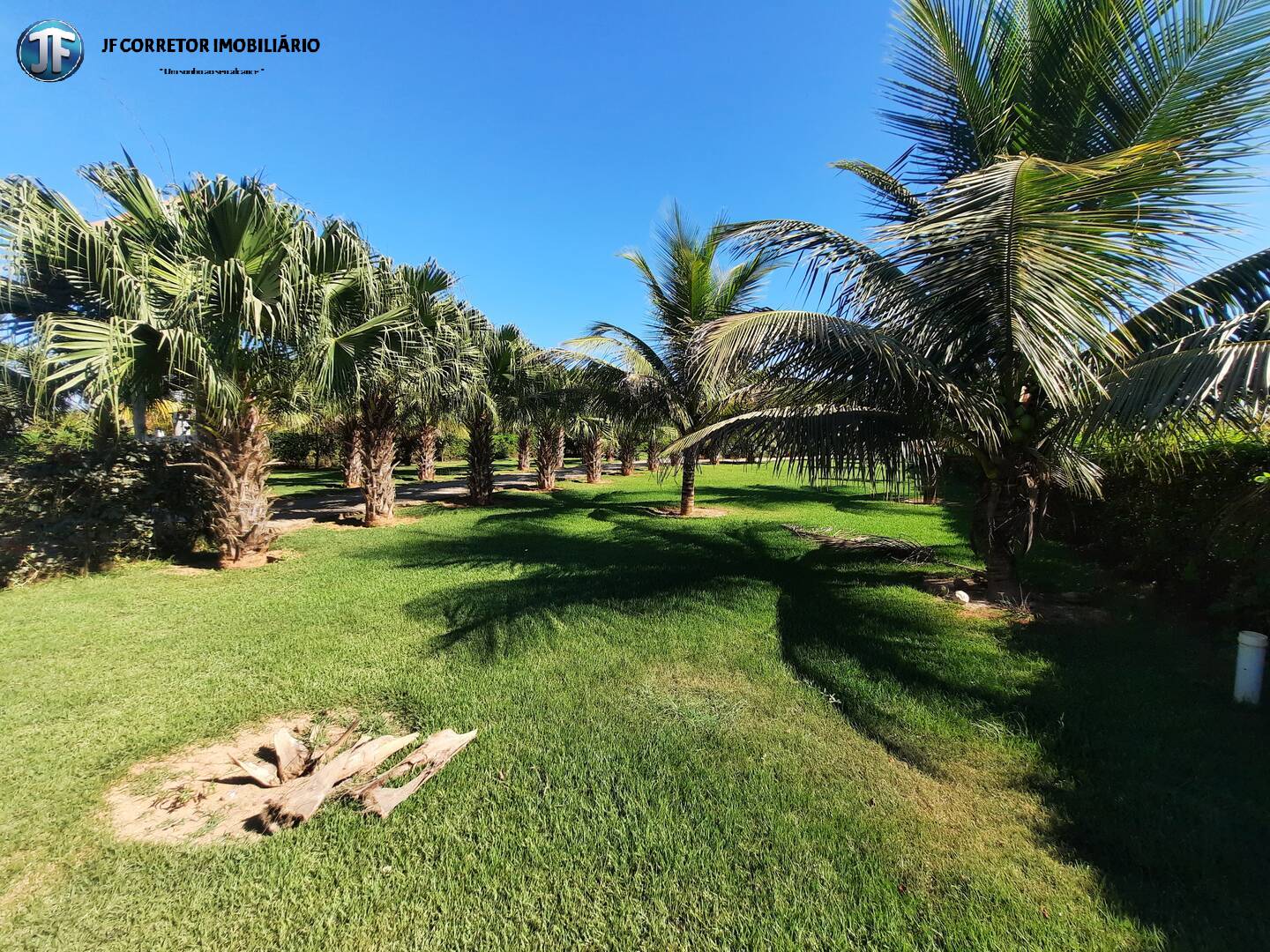 Fazenda à venda com 2 quartos, 4000m² - Foto 4