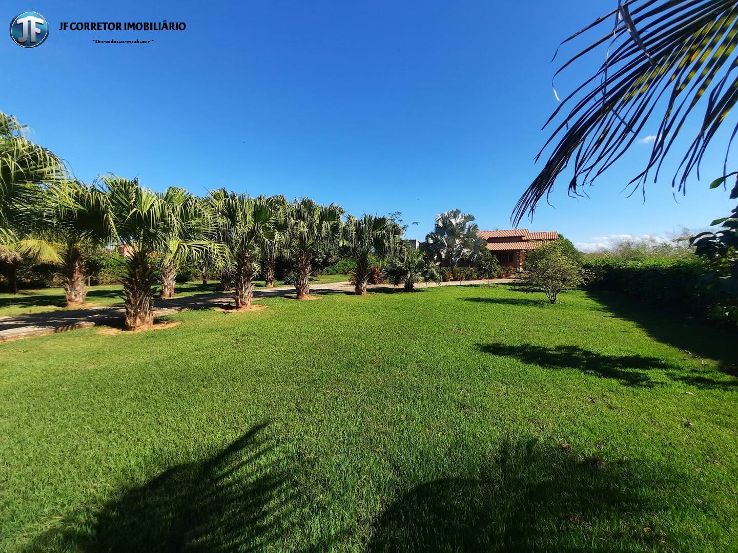 Fazenda à venda com 2 quartos, 4000m² - Foto 5