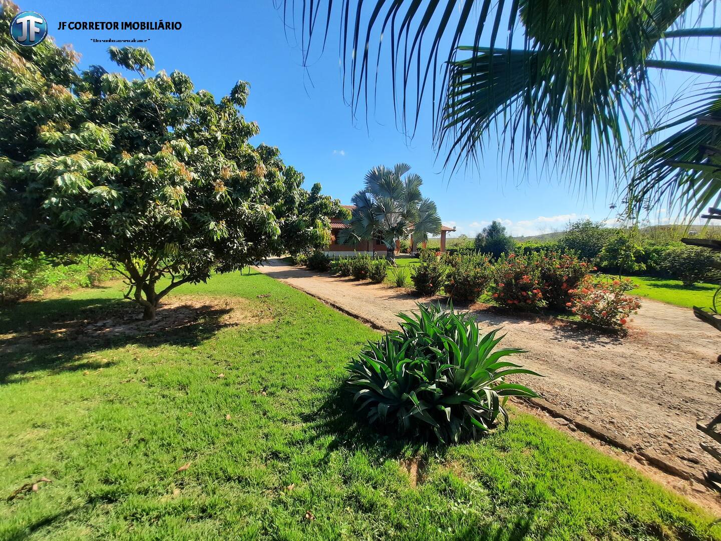 Fazenda à venda com 2 quartos, 4000m² - Foto 6