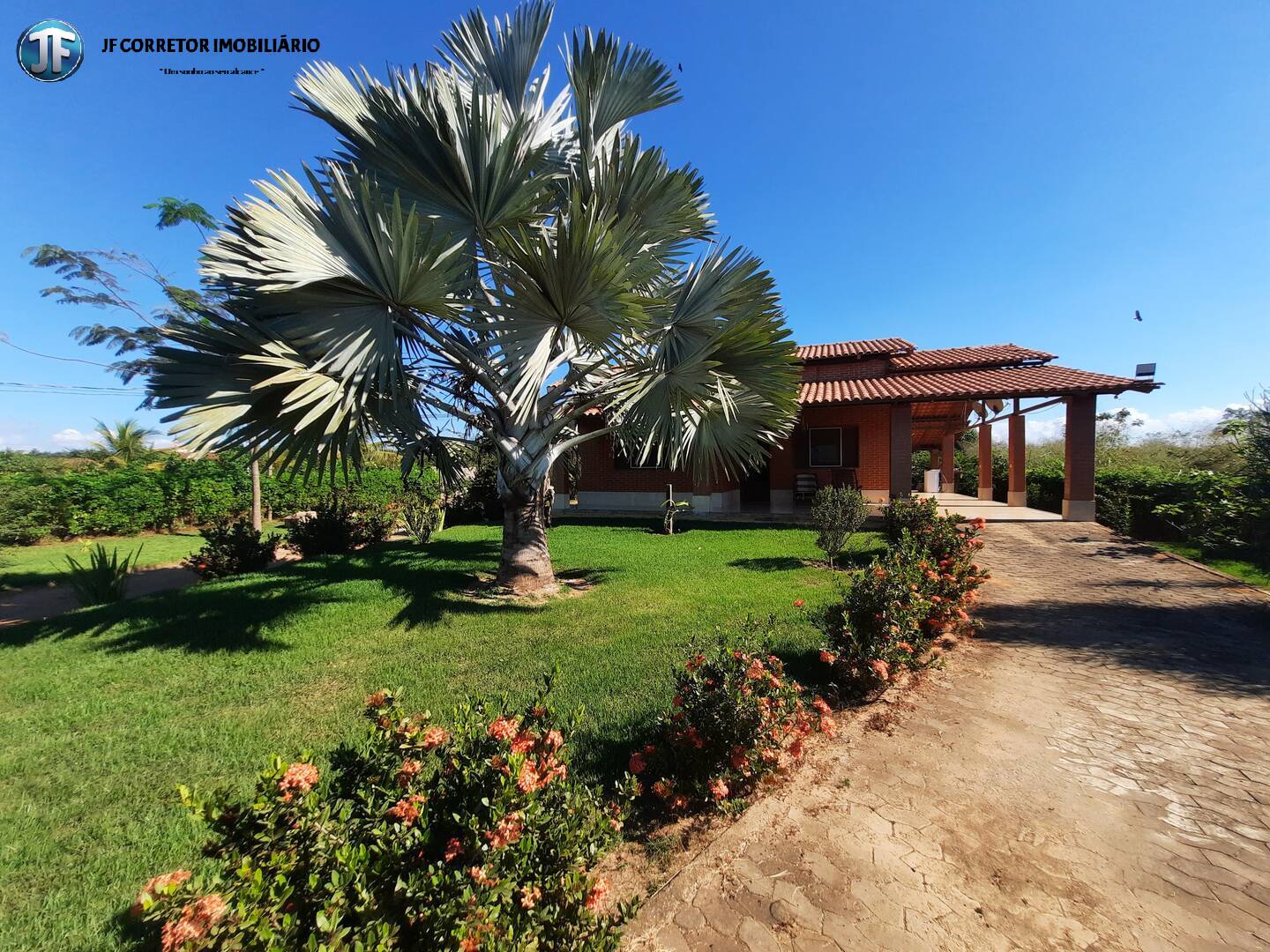 Fazenda à venda com 2 quartos, 4000m² - Foto 7