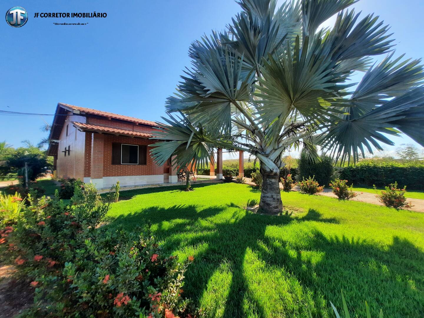 Fazenda à venda com 2 quartos, 4000m² - Foto 9