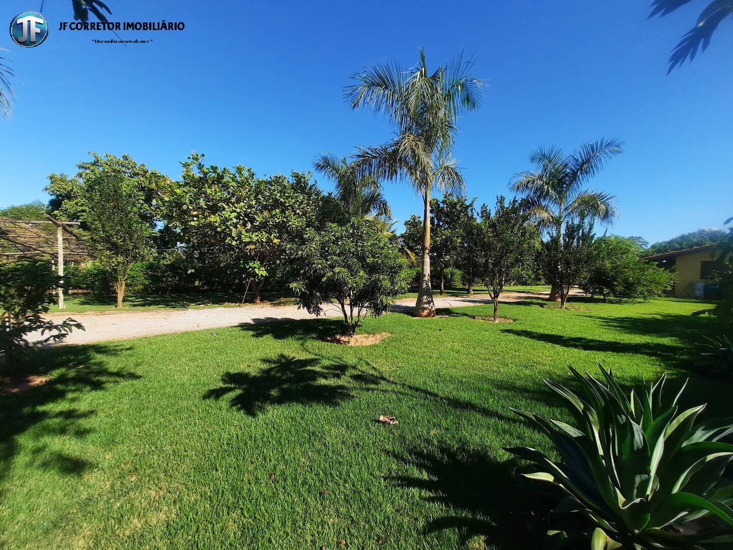 Fazenda à venda com 2 quartos, 4000m² - Foto 25