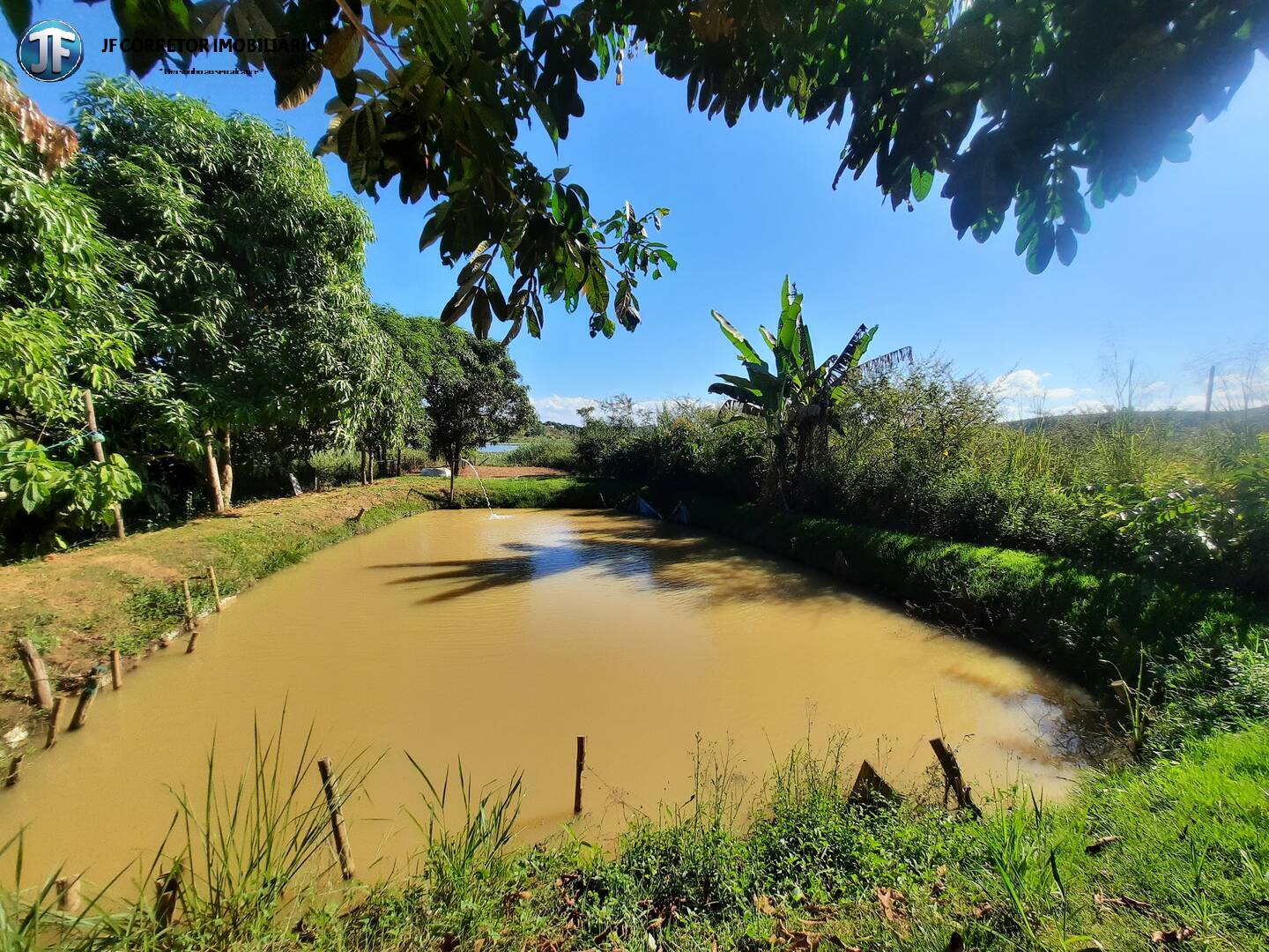 Fazenda à venda com 2 quartos, 4000m² - Foto 28