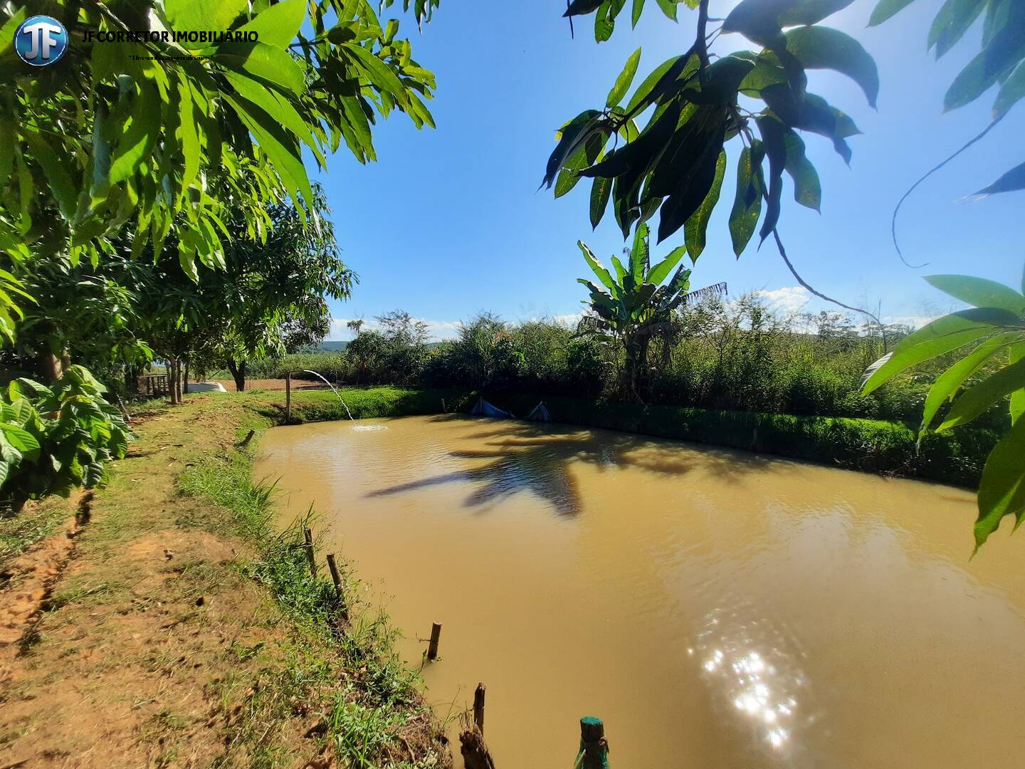 Fazenda à venda com 2 quartos, 4000m² - Foto 29