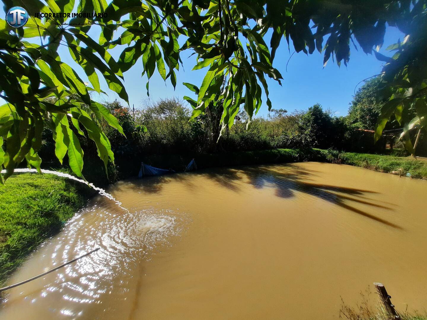 Fazenda à venda com 2 quartos, 4000m² - Foto 30