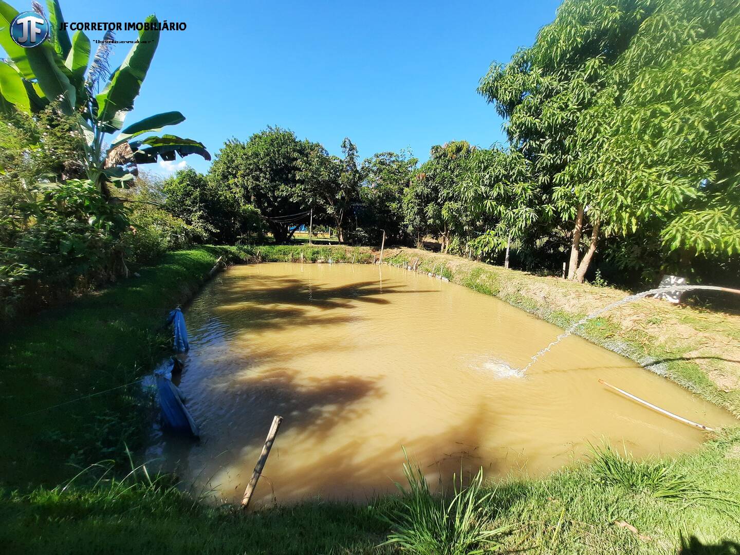 Fazenda à venda com 2 quartos, 4000m² - Foto 32