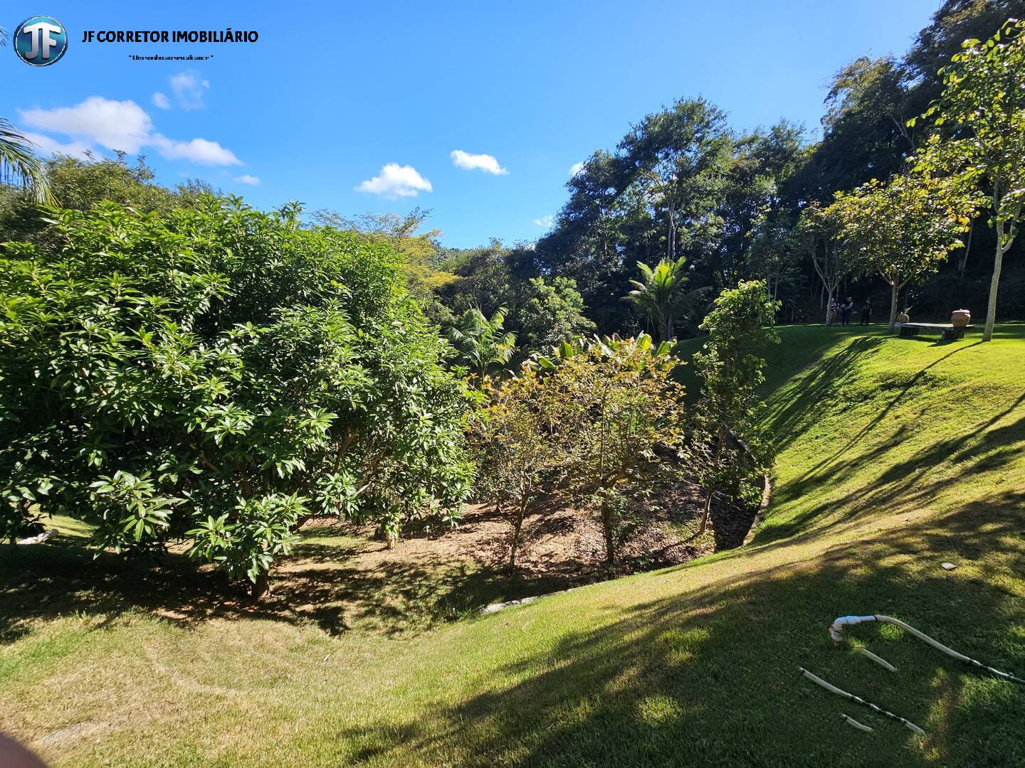 Fazenda à venda com 3 quartos, 240m² - Foto 8