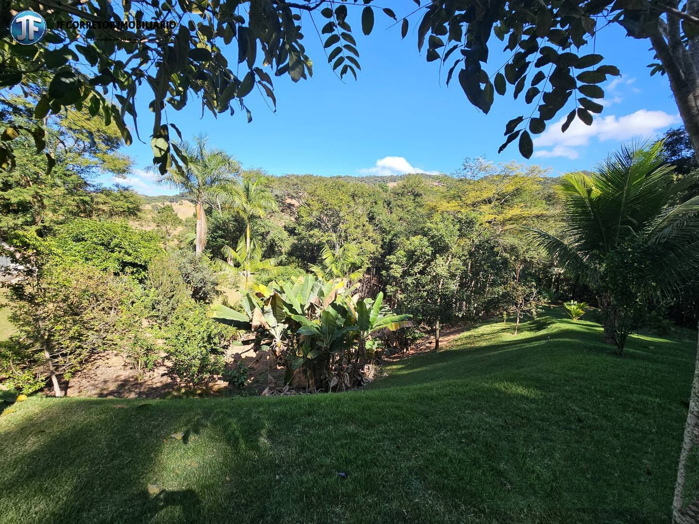 Fazenda à venda com 3 quartos, 240m² - Foto 27