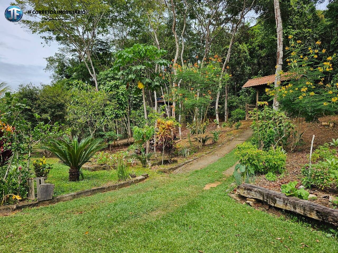 Fazenda à venda com 4 quartos, 6000m² - Foto 5